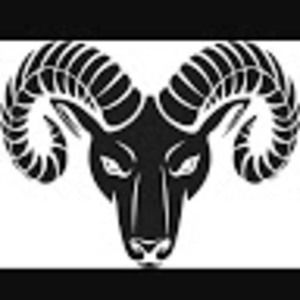 Meet your Posher, Tamiko